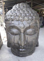 Bodhi Buddha Head
