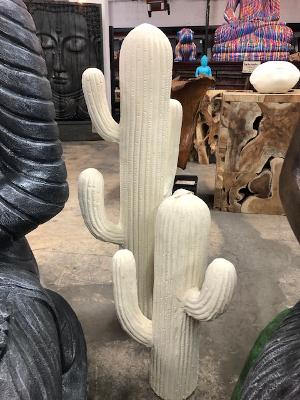 Cactus Large and Small